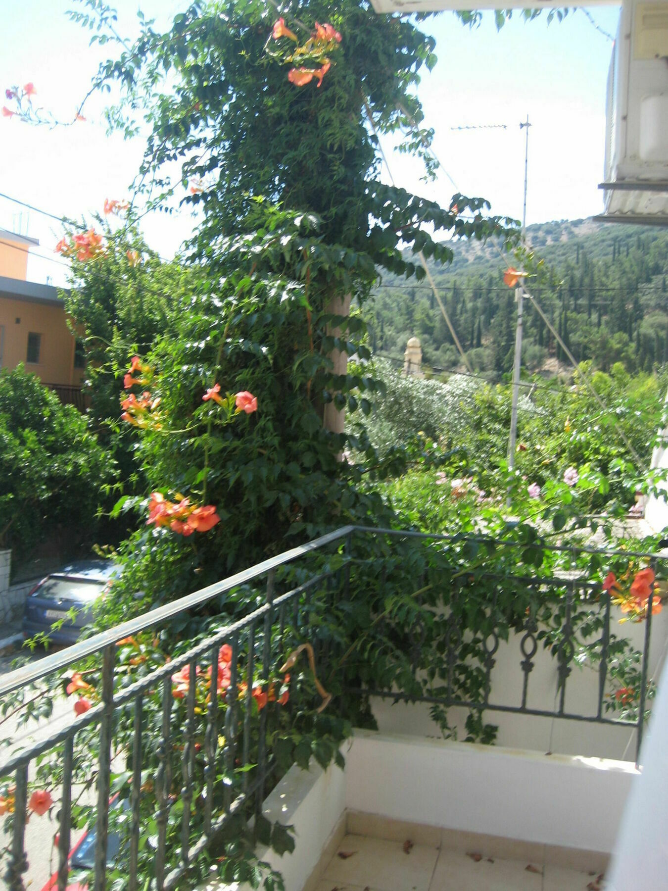 איה אפימיה Giannos Apartments מראה חיצוני תמונה